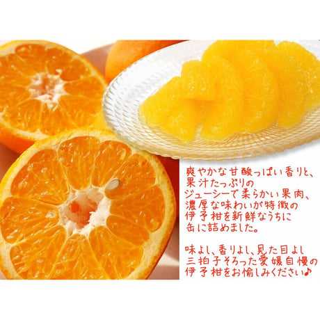 柑橘物語　伊予柑缶詰６缶セット