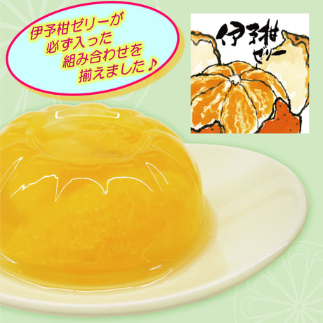 選べる！ゼリー4個セット（伊予柑）
