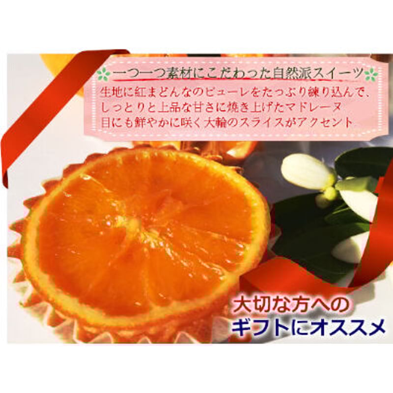 マシュー・ロビン出品 CONVICT NSC ロビンマスク (ブラックアーマー ver.) マシュー・ロビン