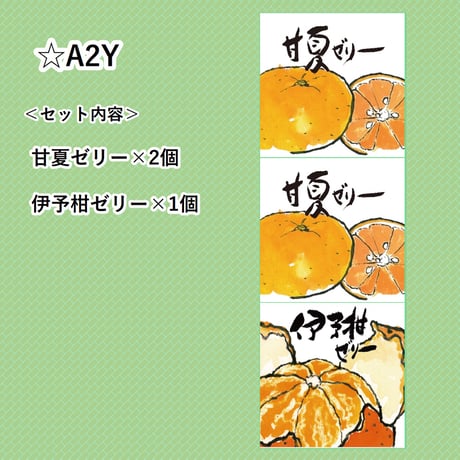 選べる！ゼリー3個セット（伊予柑）