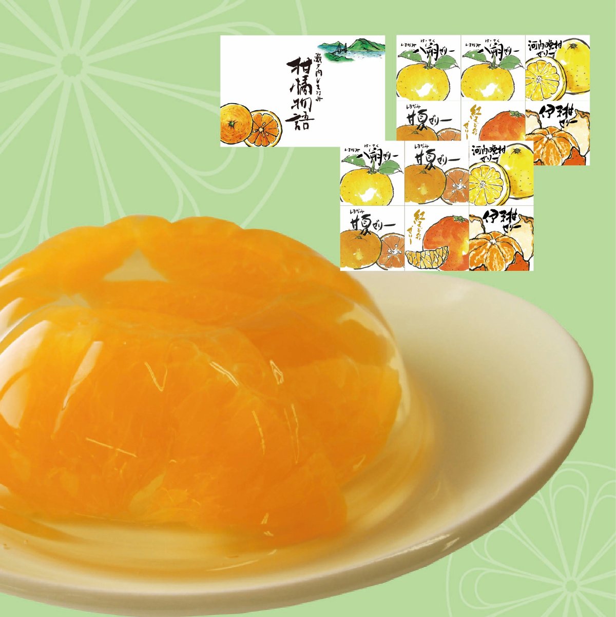 柑橘物語 ゼリー5種12個セット BYK2ーHA3 | 【BEMAC公式通販