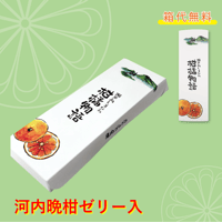 選べる！ゼリー3個セット（河内晩柑）