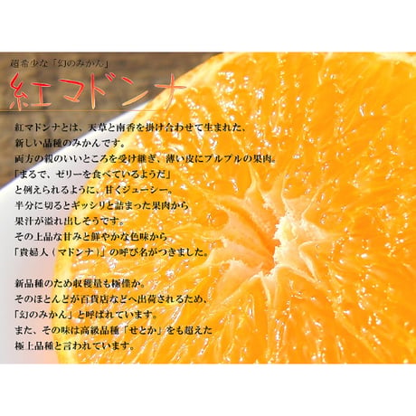 柑橘物語　紅まどんなゼリー６個セット