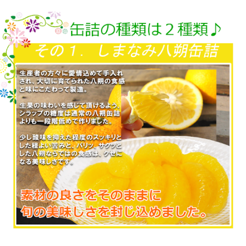 夏みかん大好きばあば 楽天市場】オレンジ 苗木 【甘夏 （あまなつ）】 3年生 接ぎ木