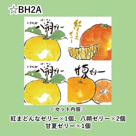 選べる！ゼリー4個セット（八朔）