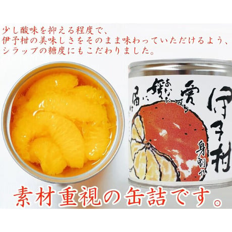 柑橘物語　伊予柑缶詰６缶セット