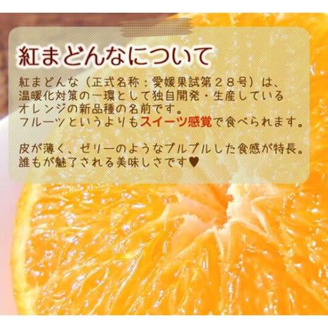 まどんなのよろこび　パウンドケーキ（プレーンハーフ）