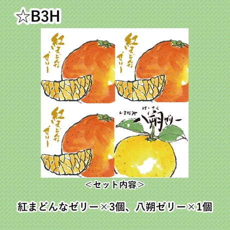 選べる！ゼリー4個セット（八朔）