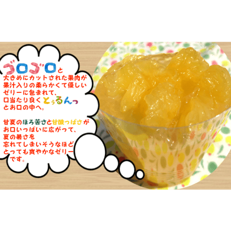 【愛媛県産】甘夏ゼリー