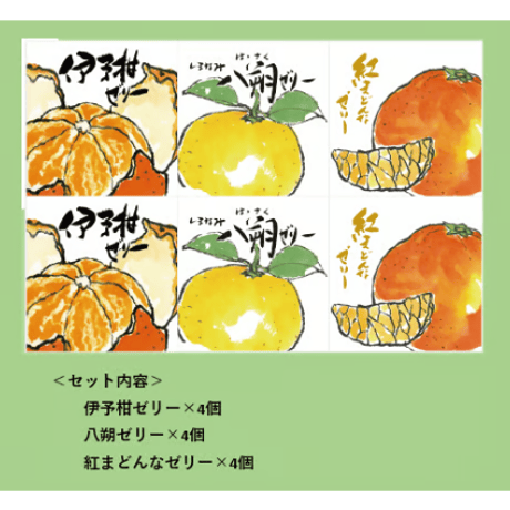 柑橘物語　ゼリー３種１２個セット　ＢＨＹ