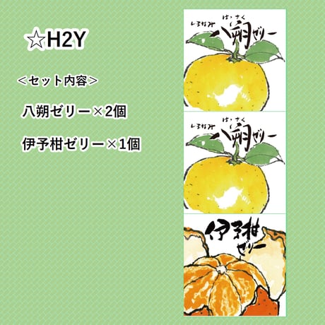 選べる！ゼリー3個セット（伊予柑）