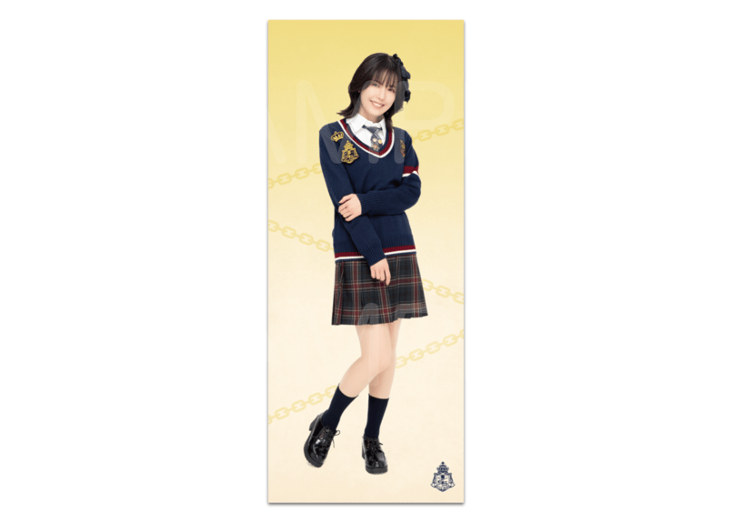 miru/S1 A-2 等身大タペストリー miru/S1 A-2 等身大タペストリー ビキニスタイル タレントグッズ