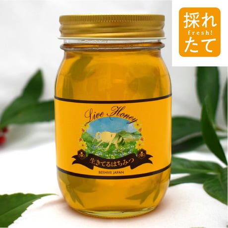 ビーハイブジャパン