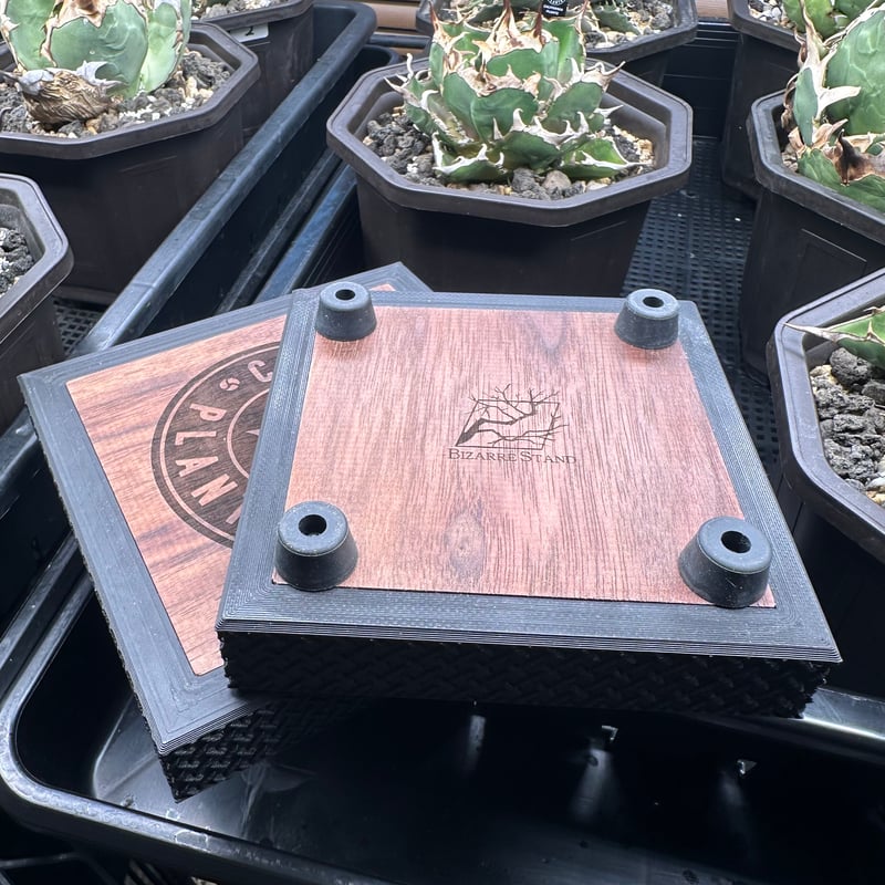 カリフォルニアプランツ オリジナル台座 | CALIFORNIA PLANTS