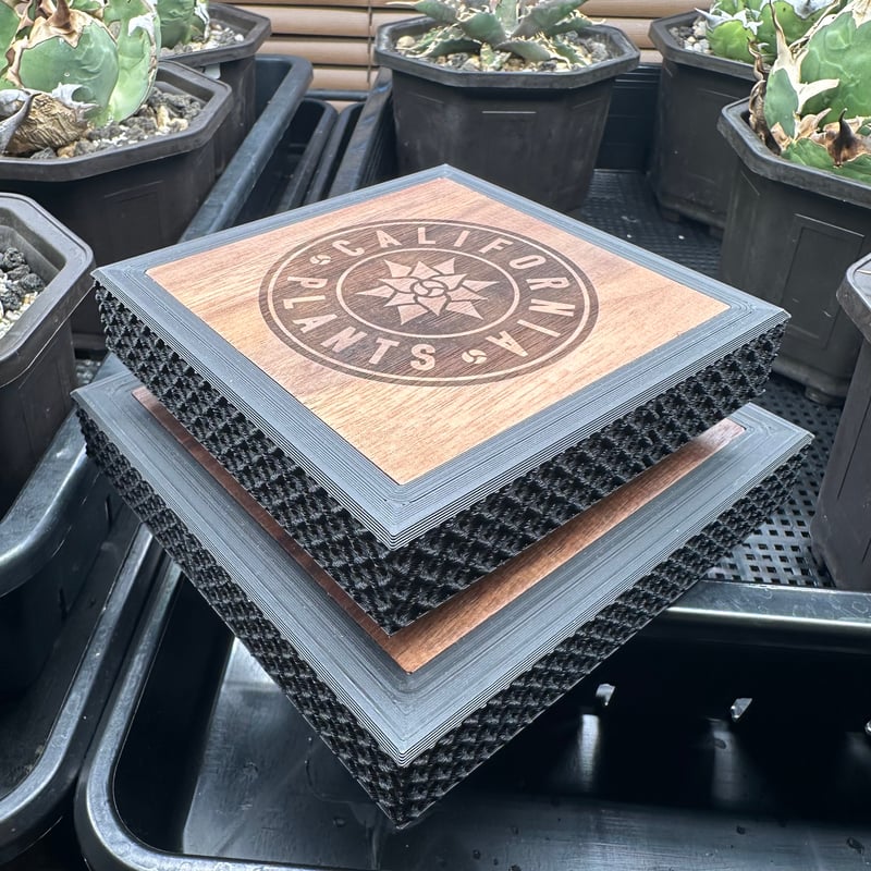 カリフォルニアプランツ オリジナル台座 | CALIFORNIA PLANTS