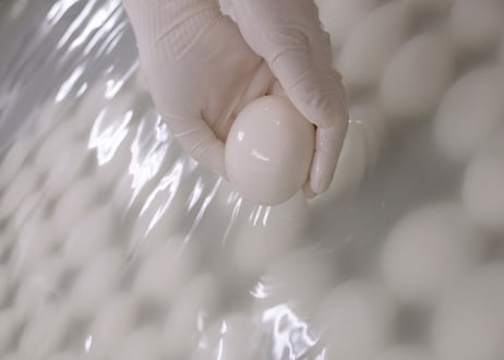 【送料無料】モッツァレラチーズ 125g　８個セット