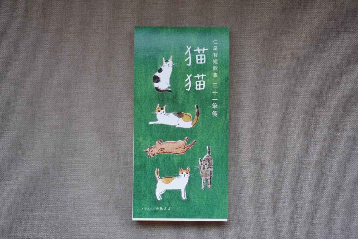 ちび猫※プロフ全文必読※2508W2 ちび猫※プロフ全文必読※2508W2 ちび猫※プロフ全文必読※2508W2