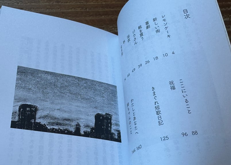 サイン入り】レモンの艶のような日々 奥村真帆 | カクカクブックス