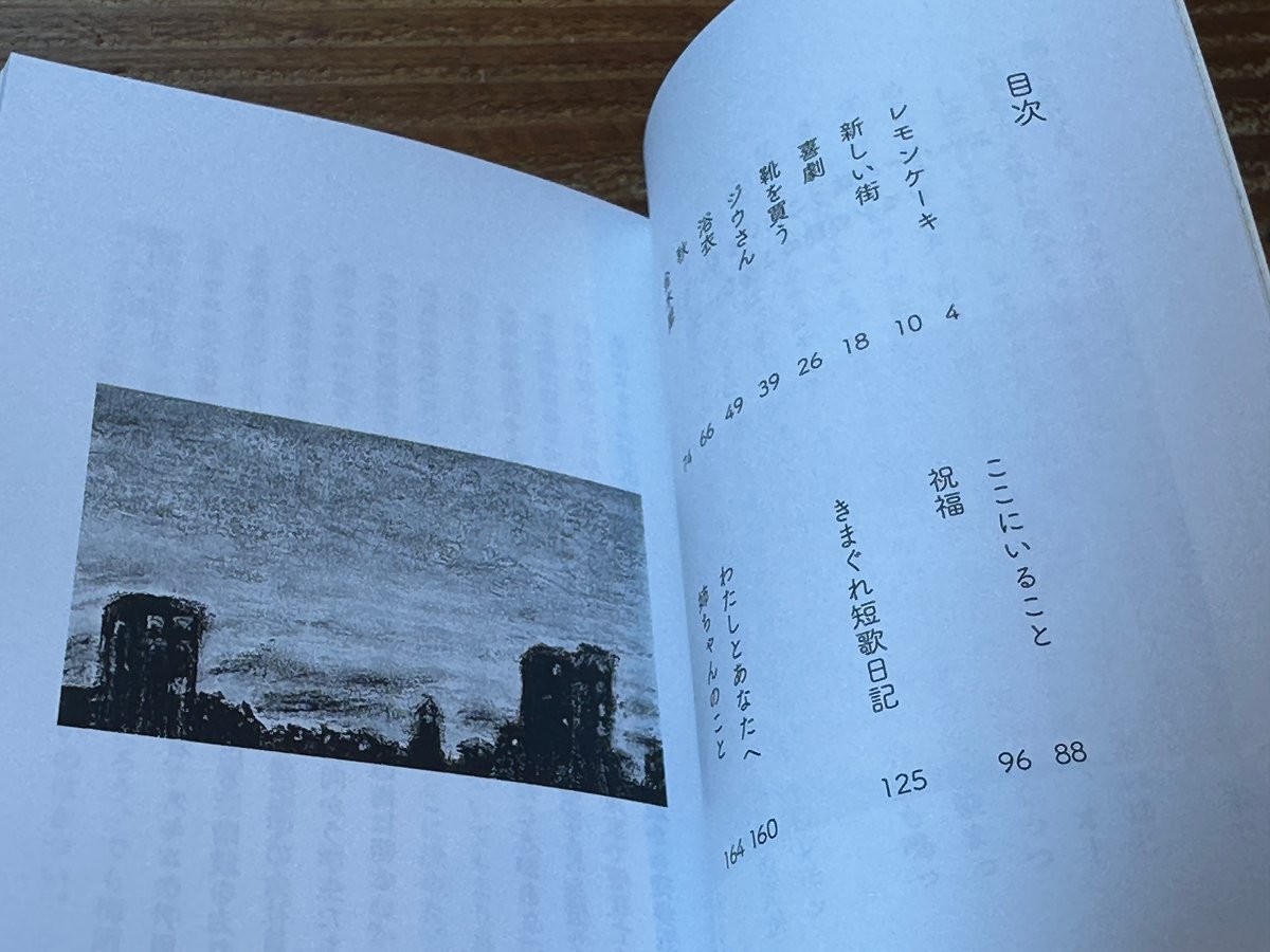 サイン入り】レモンの艶のような日々 奥村真帆 | カクカクブックス