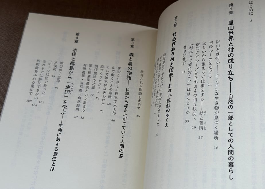 6677b932be2d1208eea0d876
