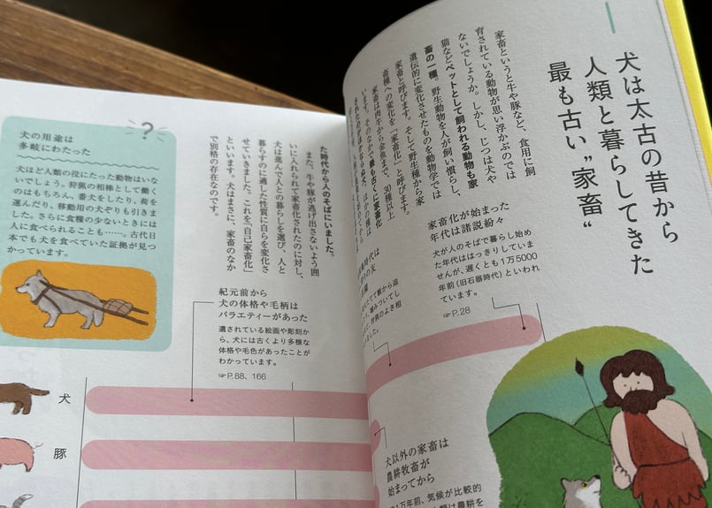 教養としての犬思わず人に話したくなる犬知識130 富田園子(著) 菊水