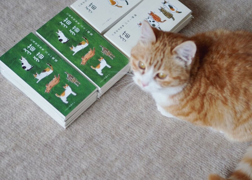 猫の洋書他3冊セット 猫の洋書他3冊セット 猫の洋書他3冊セット 2025年