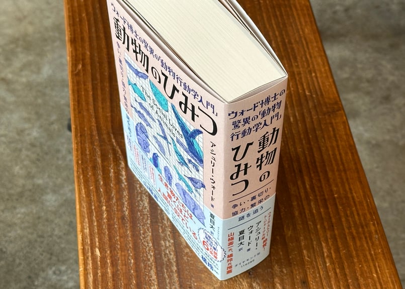 ウォード博士の驚異の「動物行動学入門」 動物のひみつ アシュリー
