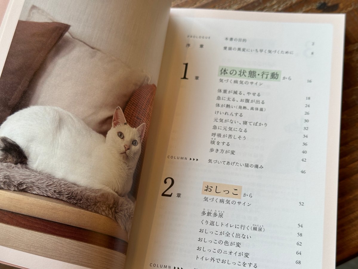 総合情報誌 CLINIC NOTE 2019年1月号 (特集:猫の疾患 総まとめ：前編) 総合情報誌 CLINIC NOTE 2019年1月号 (特集:猫の疾患 総まとめ：