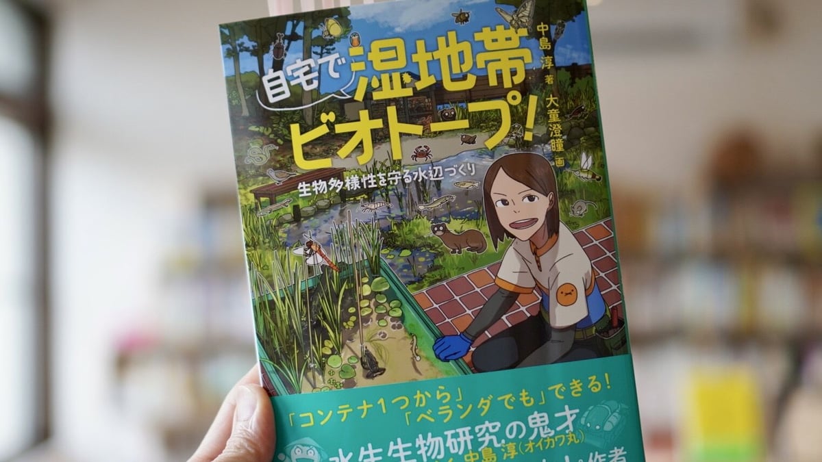 【中古】 水とビオトープの生きものたち 知ろう・守ろう・育てよう！１６のやさしい調査法/合同出版/全国学校ビオトープ・ネットワーク 中古】 水とビオトープの生きものたち 知ろう・守ろう・育てよう