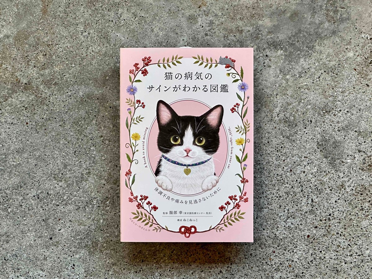 やさしい猫　サイン本4冊セット やさしい猫 サイン本4冊セット 1d3ac0fa961e9b5fac65cc7208218e
