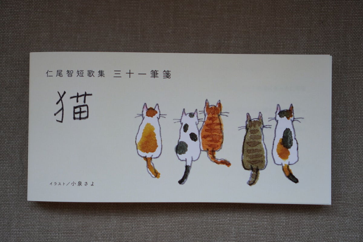 ちび猫※プロフ全文必読※2510W1 Amazon.co.jp: ぼくのねこ ポー