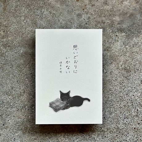 坂本千明 | STORES