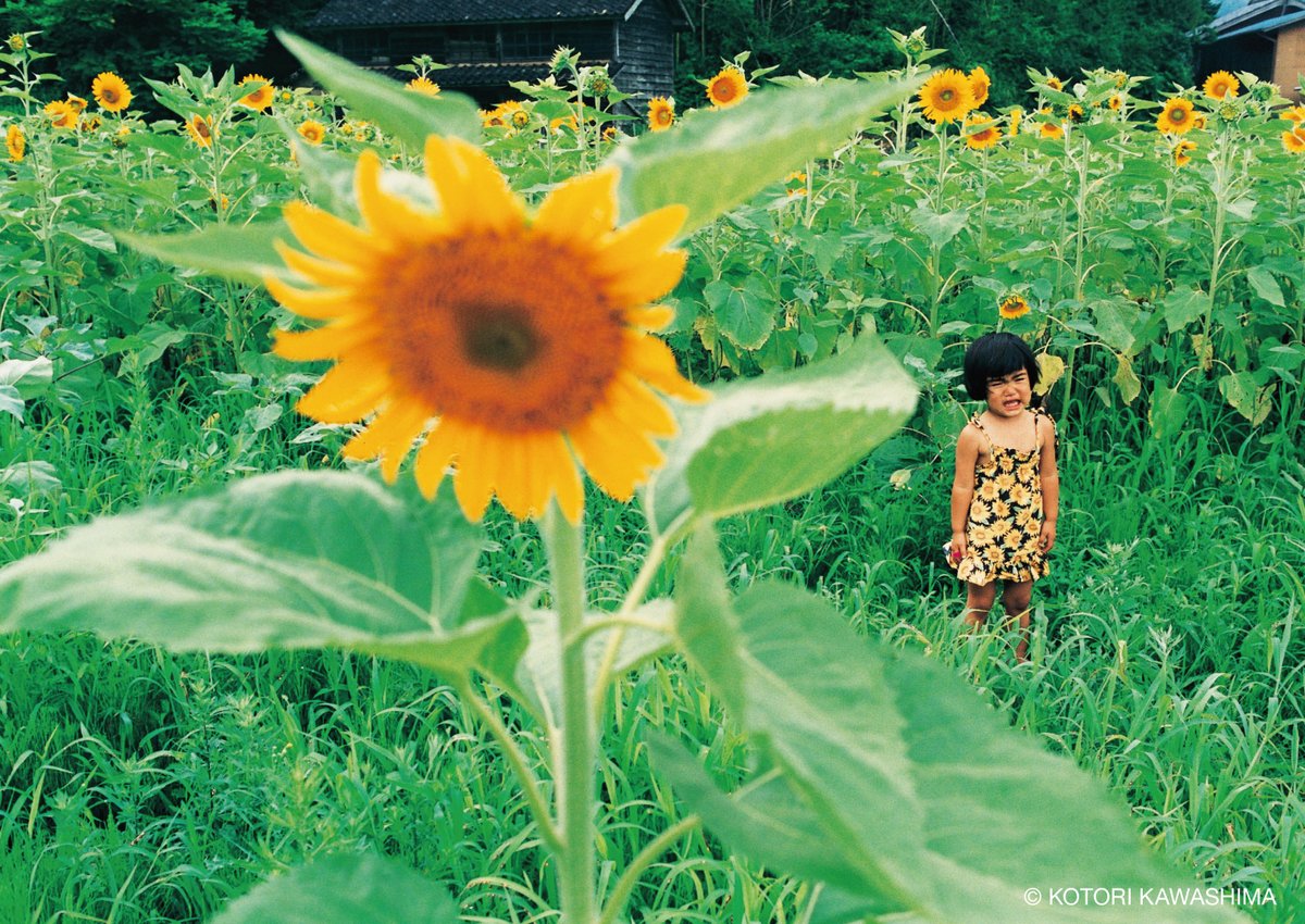 サイン入り】未来ちゃん（新装版） 川島小鳥 | カクカクブックス