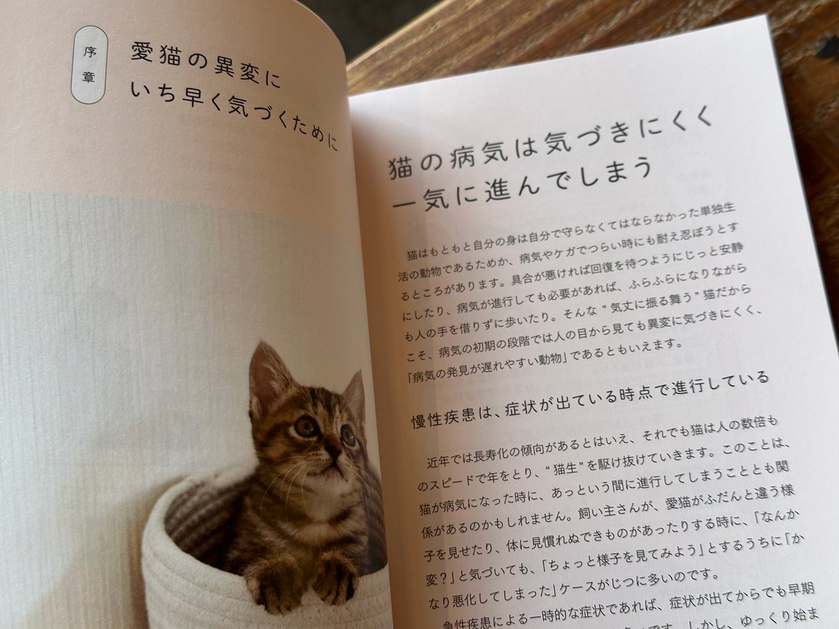 総合情報誌 CLINIC NOTE 2019年1月号 (特集:猫の疾患 総まとめ：前編) 総合情報誌 CLINIC NOTE 2019年1月号 (特集:猫の疾患 総まとめ：