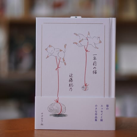 近藤聡乃 | STORES