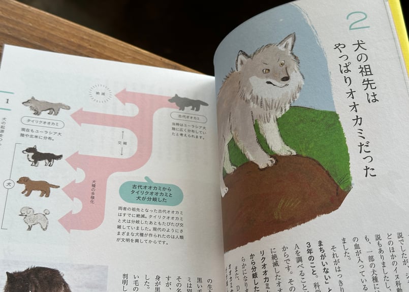 教養としての犬思わず人に話したくなる犬知識130 富田園子(著) 菊水