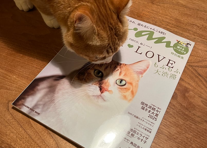 anan特別編集 にゃんこLOVE もふもふ大渋滞 | カクカクブックス