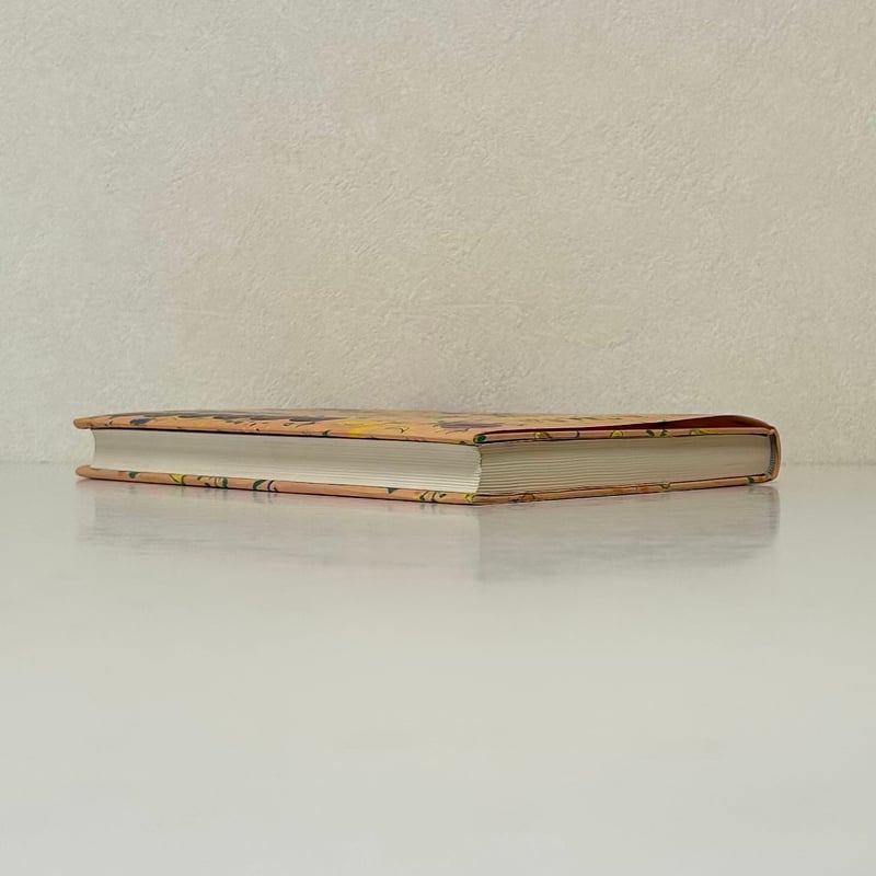 今江祥智6年生の童話➀｜今江祥智 長新太 今江祥智童話館 理論社 古本