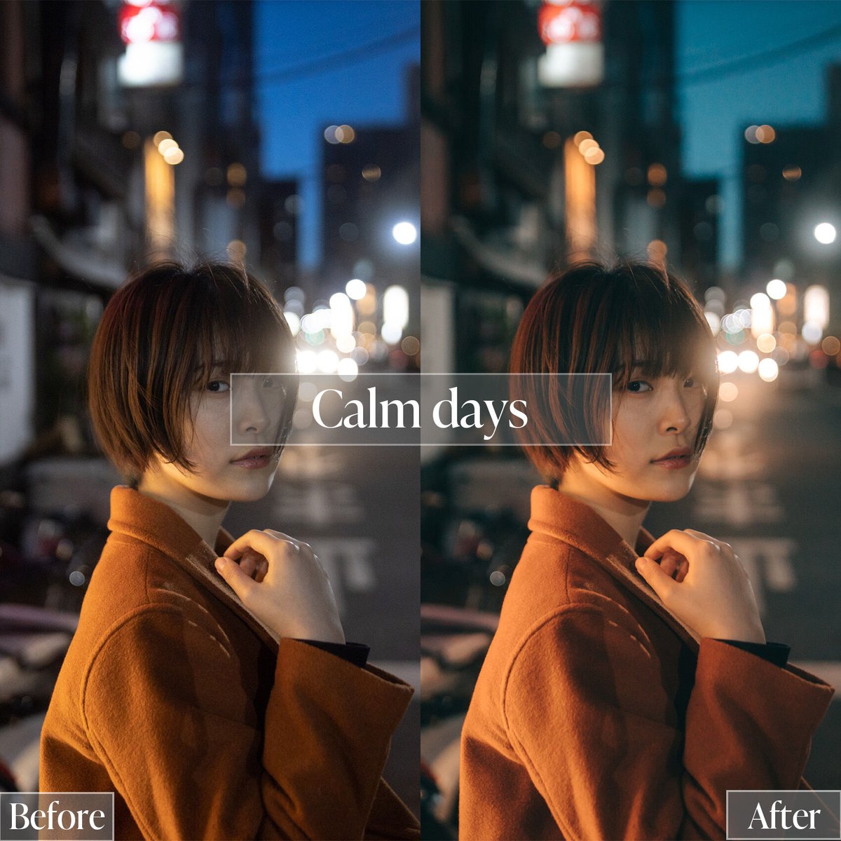 [English / complete set] mizmizo’s Lightroom Pr...