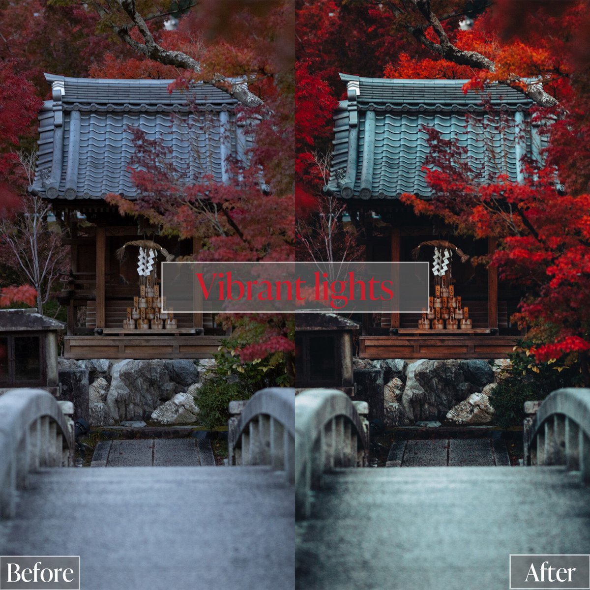 [English / complete set] mizmizo’s Lightroom Pr...