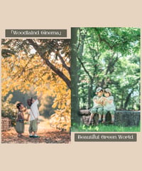 【Special pack】 "Beautiful Green World" ＆ "Woodlalnd Cinema"