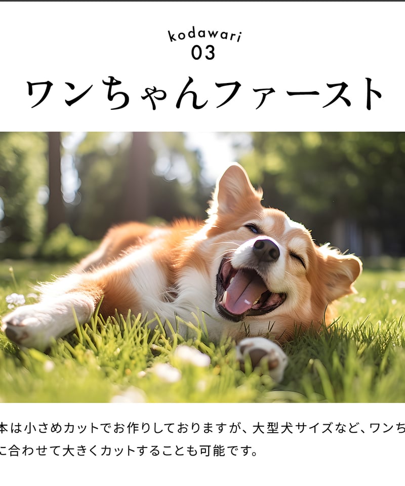 淡路どりサイコロネックジャーキー70g 愛犬用おやつ ドッグフード 無