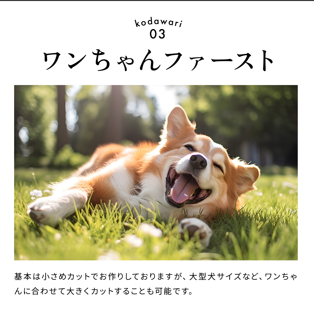 淡路どりサイコロネックジャーキー70g 愛犬用おやつ ドッグフード 無