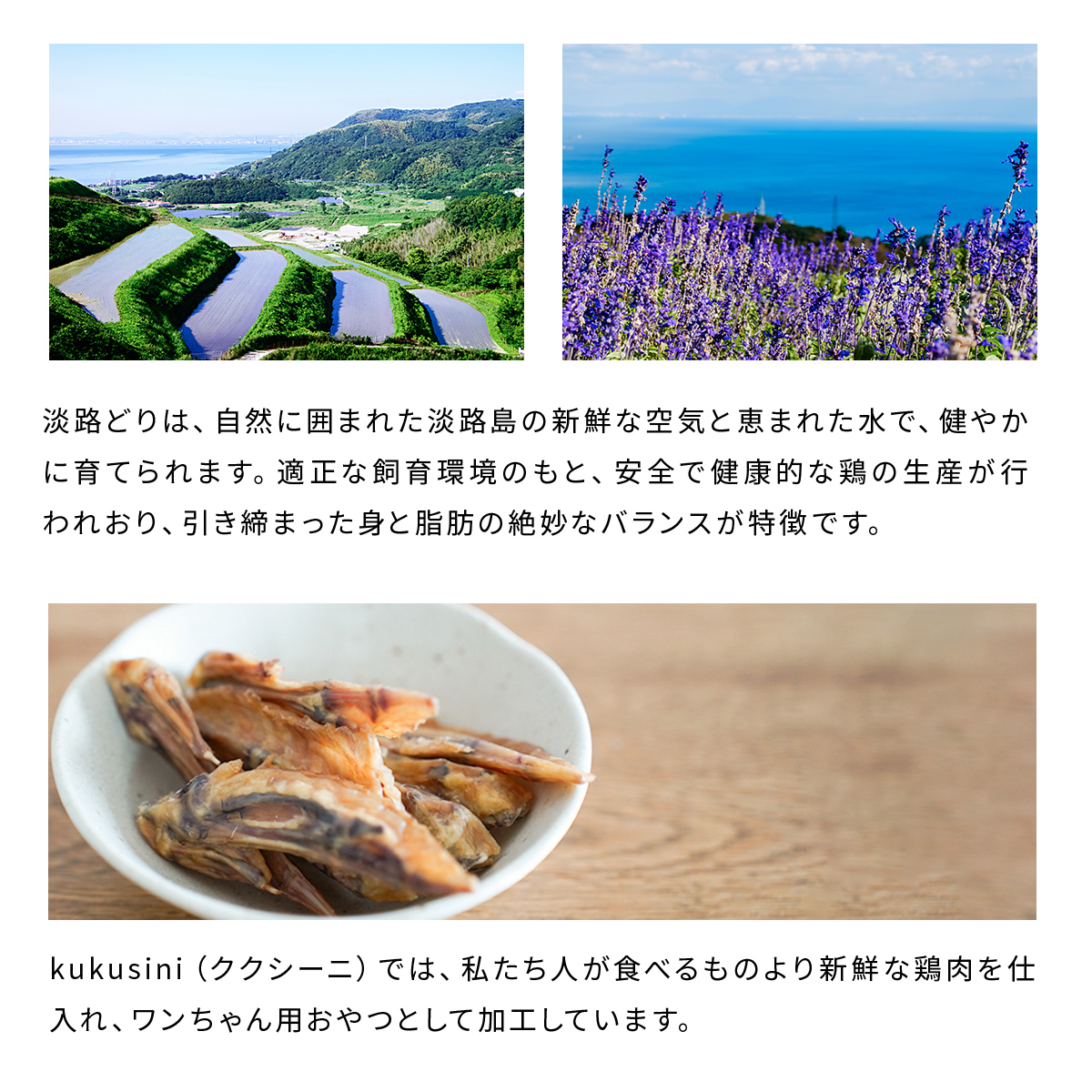 淡路どりサイコロネックジャーキー70g 愛犬用おやつ ドッグフード 無