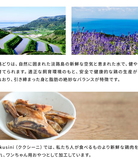 淡路どり手羽先ジャーキー70ｇ 愛犬用おやつ ドッグフード　無添加　淡路島