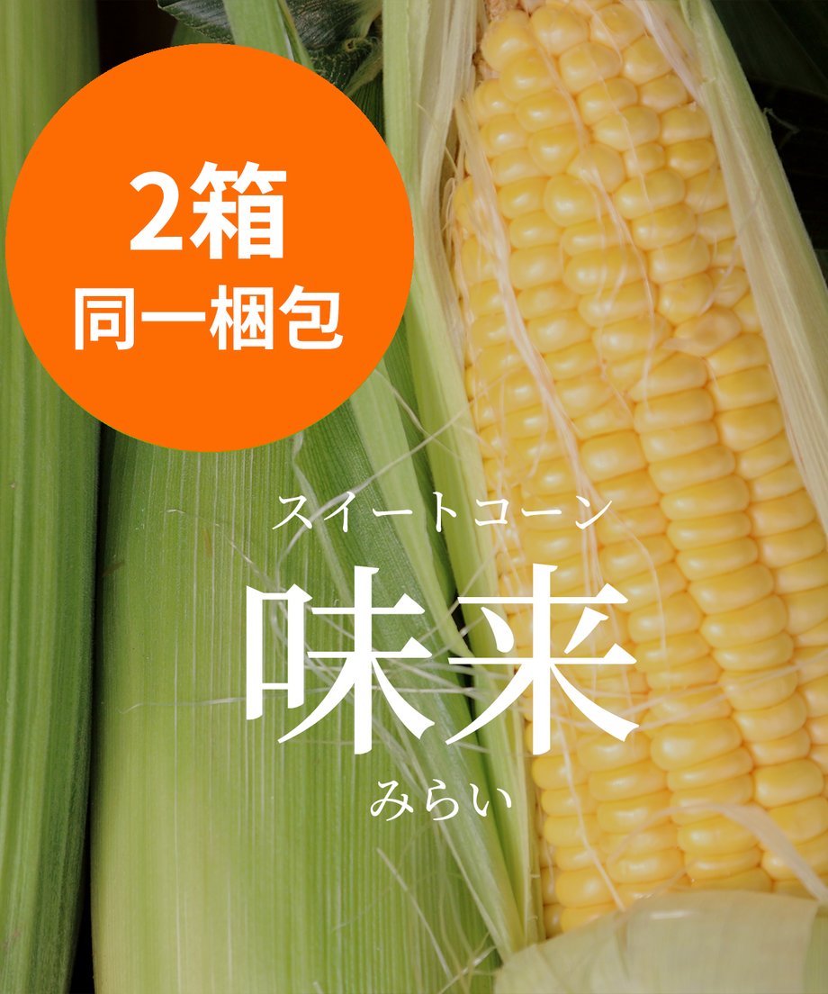 66b08d1c263076002df55495