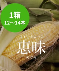 とうもろこし 恵味（めぐみ）1箱　※送料込