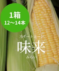 とうもろこし 味来（みらい）1箱　※送料込