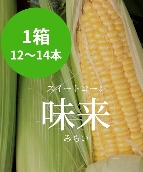 とうもろこし 味来（みらい）1箱　※送料込