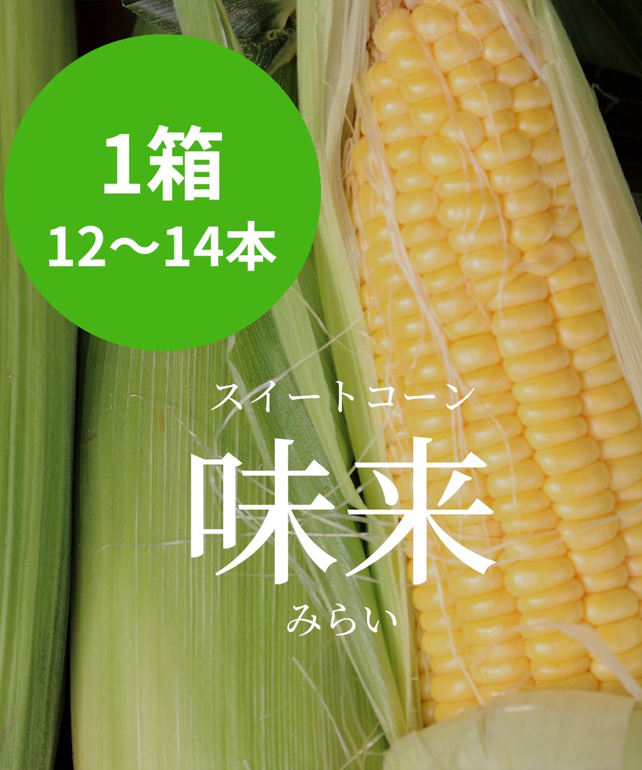 66b08c7b4b15c0002eca5981